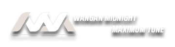 WANGAN MIDNIGHT MAXIMUM TUNE 5DX